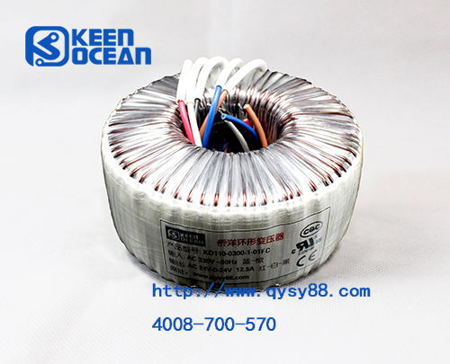 定制环形变压器知多少 定制环形变压器知多少