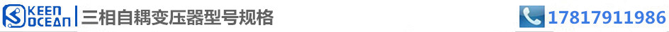 标签三相自耦变压器型号规格 标签三相自耦变压器型号规格