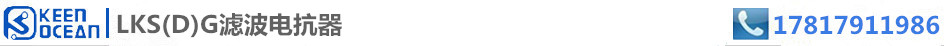 标签LKS(D)G濾波電抗器型号规格 标签LKS(D)G濾波電抗器型号规格