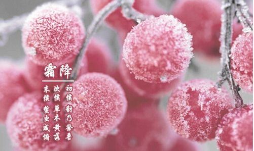 霜降已到,冬天还会远吗? 霜降已到,冬天还会远吗?