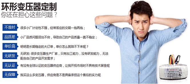 环形变压器的输入、输出端可以做多少组呢? 环形变压器的输入、输出端可以做多少组呢?